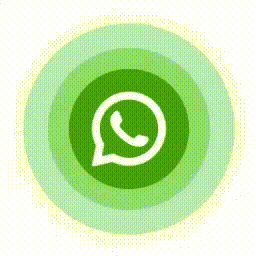 Chat on WhatsApp
